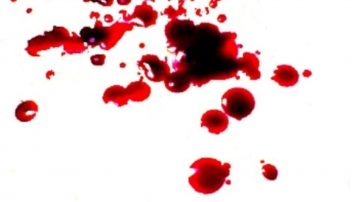 sangre