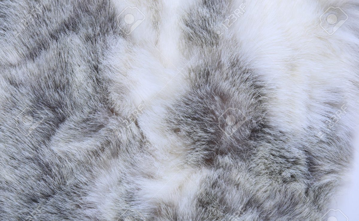 Cómo limpiar una prenda de piel de conejo? | Como Limpiar