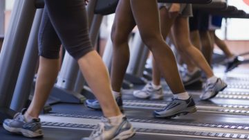 People on treadmills in gym