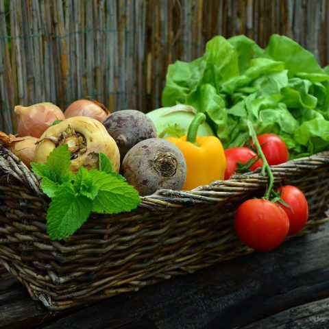 Las verduras y hortalizas son esenciales para mantener una dieta equilibrada